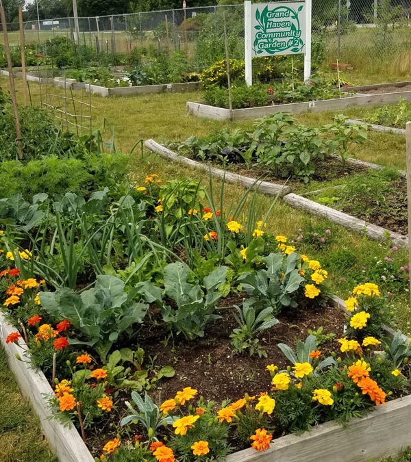 Grand Haven Community Garden Space Available